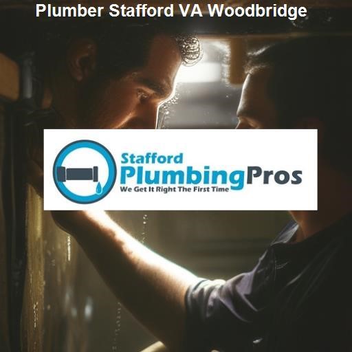 Services Offered by Our Expert Plumbers - Stafford Plumbing Pros Woodbridge