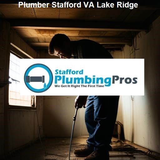 Understanding Plumbing Needs in Stafford VA - Stafford Plumbing Pros Lake Ridge