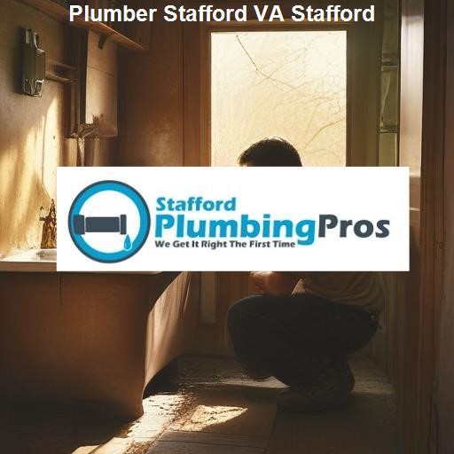 Understanding Your Plumbing Needs in Stafford VA - Stafford Plumbing Pros Stafford