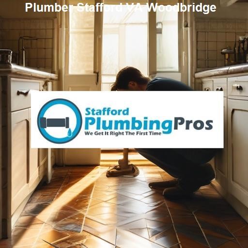 Understanding the Importance of Professional Plumbing Services - Stafford Plumbing Pros Woodbridge