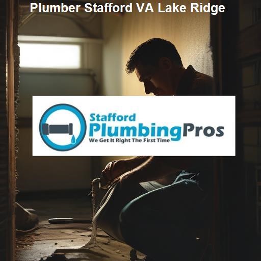 Why Choose Our Plumbing Services in Lake Ridge? - Stafford Plumbing Pros Lake Ridge