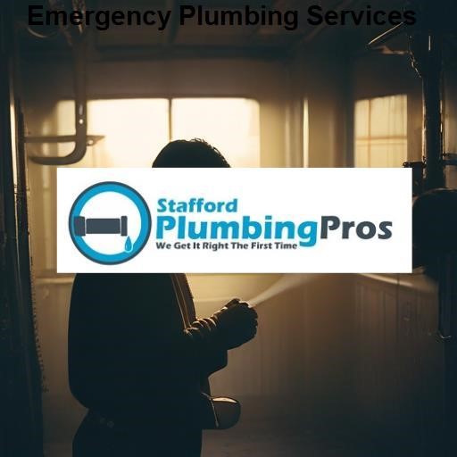 Stafford Plumbing Pros Emergency Plumbing Services