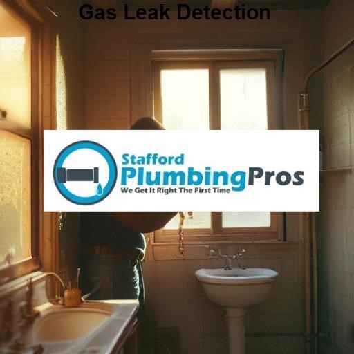 Stafford Plumbing Pros Gas Leak Detection