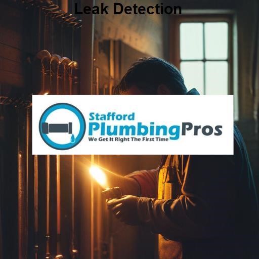 Stafford Plumbing Pros Leak Detection