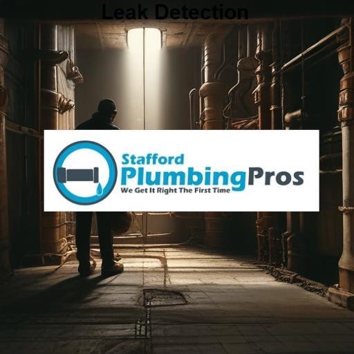 Stafford Plumbing Pros Leak Detection