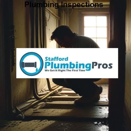 Stafford Plumbing Pros Plumbing Inspections