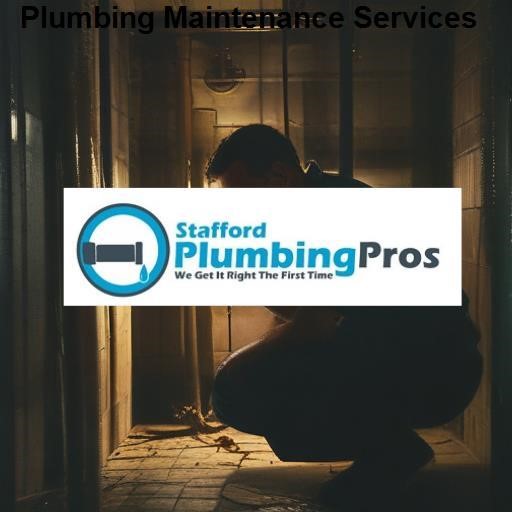 Stafford Plumbing Pros Plumbing Maintenance Services