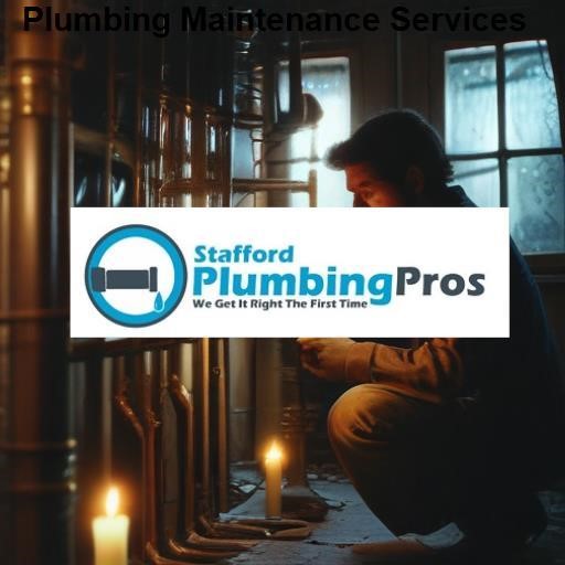 Stafford Plumbing Pros Plumbing Maintenance Services