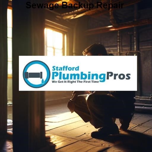 Stafford Plumbing Pros Sewage Backup Repair