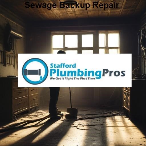 Stafford Plumbing Pros Sewage Backup Repair