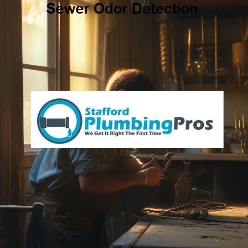 Stafford Plumbing Pros Sewer Odor Detection