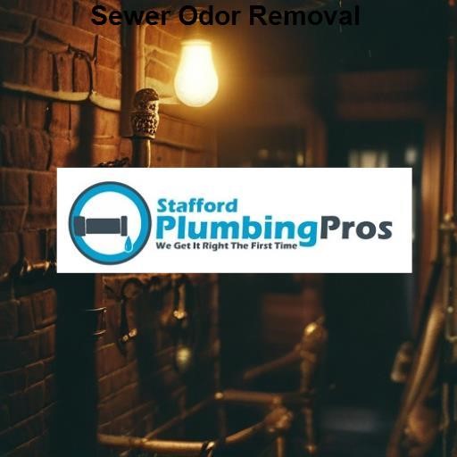 Stafford Plumbing Pros Sewer Odor Removal