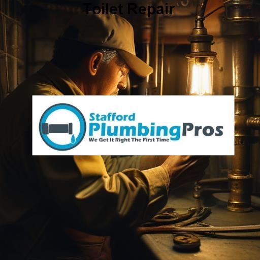 Stafford Plumbing Pros Toilet Repair