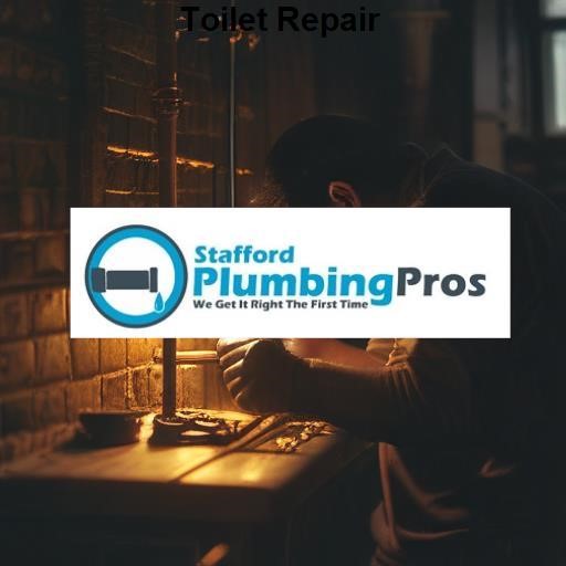 Stafford Plumbing Pros Toilet Repair