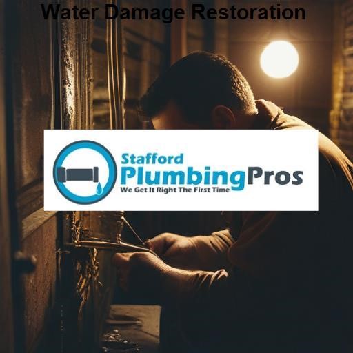 Stafford Plumbing Pros Water Damage Restoration