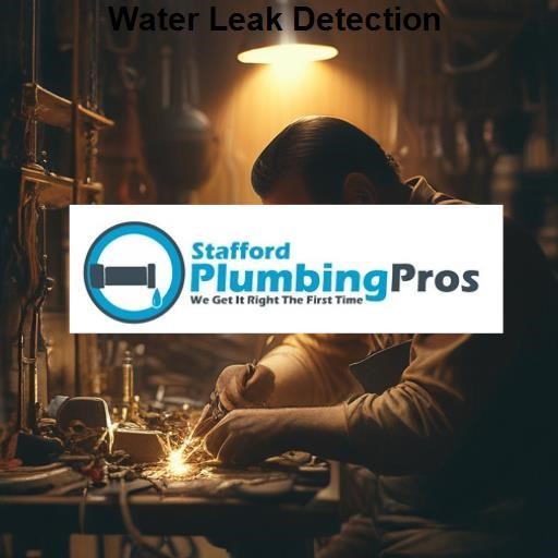 Stafford Plumbing Pros Water Leak Detection