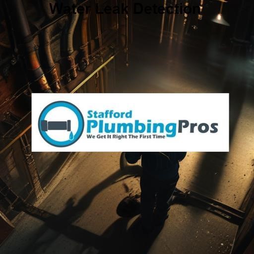 Stafford Plumbing Pros Water Leak Detection